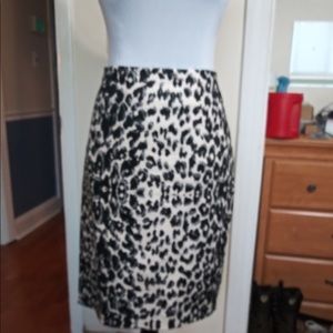 Pencil Skirt